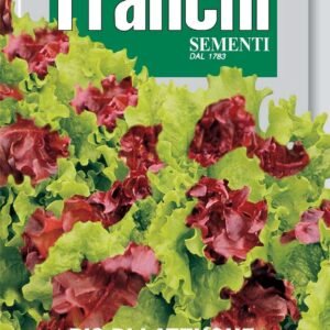 Franchi Seeds of Italy - DBO 93/8 - Lettuce - Mixed da Taglio - Bis - Bionda E Rossa Ricciolina - Seeds