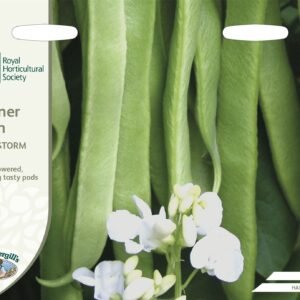 Mr Fothergills RHS Runner Bean Benchmaster 40 Seeds