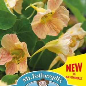 Mr Fothergills - Flower - Nasturtium - Tip Top Pink Blush - 25 Seeds