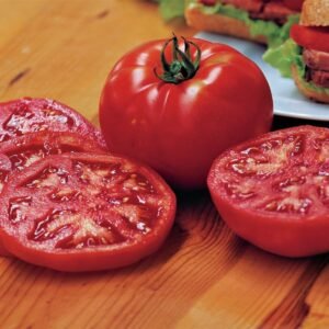 Tomato Steak Sandwich Seeds
