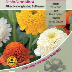 Kings Seeds Zinnia Cresto Citrus Mixed Seeds
