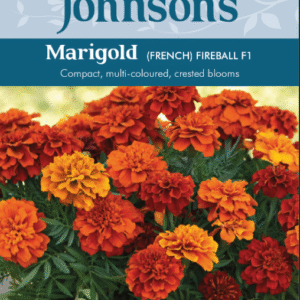 Johnsons Seeds - Flower - Marigold (French) - Fireball F1 Seeds