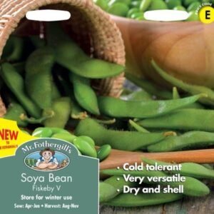 Mr Fothergills - Vegetable - Soya Bean Fiskeby - 50 Seeds