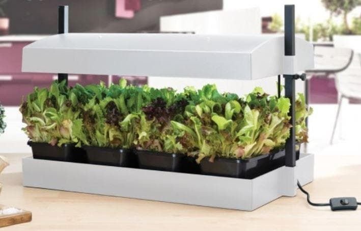 growlamp_comp_180f65b8-bf0a-46c2-a2cb-7bd4133e1f5e.jpg