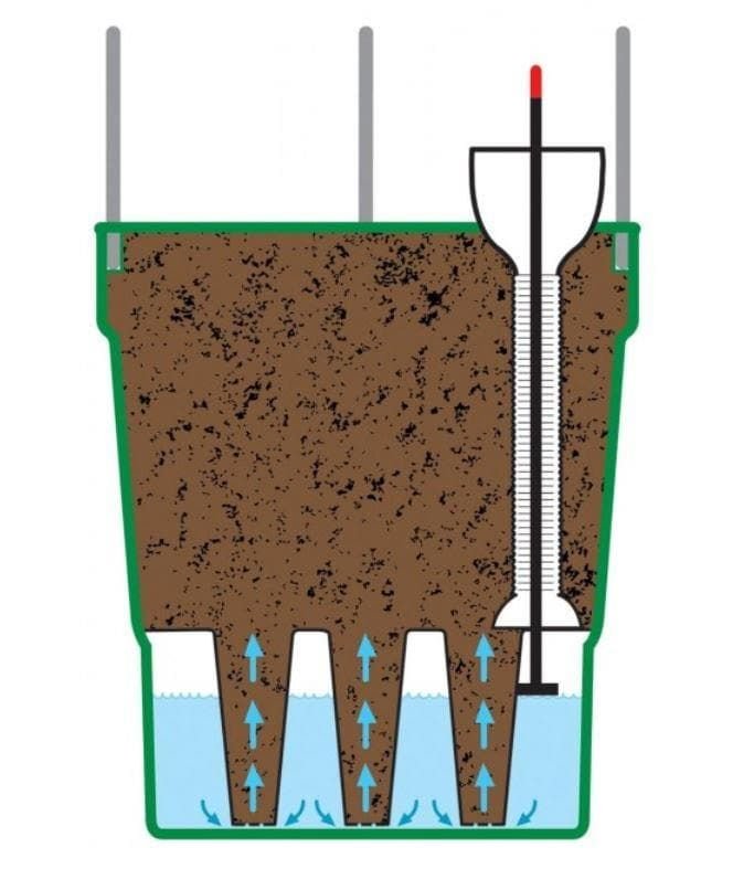 growpot5_comp_b59c01f5-0eea-44d2-b2b1-aca737e1776e.jpg