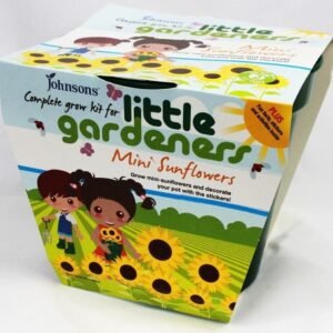 Little Gardeners Growing Kit Mini Sunflowers