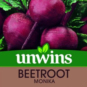 Unwins Beetroot (Round) Monika 200 Seeds