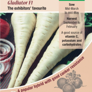 Kings Seeds Parsnip Gladiator F1 - 500 Seeds