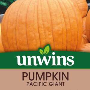 Unwins Pumpkin Atlantic Giant 10 Seeds