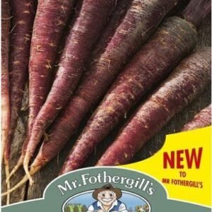 Mr Fothergills - Vegetable - Carrot - Purple Sun F1 Seeds