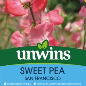 Unwins Flower Sweet Pea San Francisco - 11 Seeds