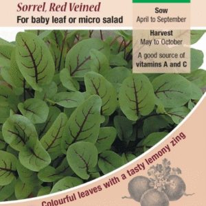 Kings Seeds Salad Leaf Sorrel Red Veined - 200 Seeds