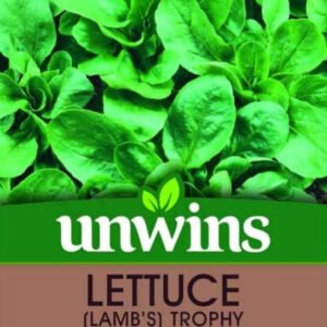 Unwins Lettuce (Leaves) Lamb's Trophy 300 Seeds
