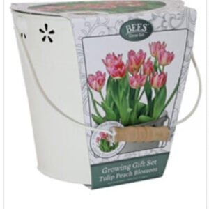 Bees Friends Tulip - Peach Blossom - Bulbs Spring Flower Bucket Growing Kit