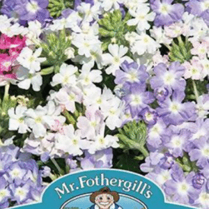 Mr Fothergills Verbena Scentsation Seeds
